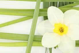 Ηπροληψη σώζει ζωές